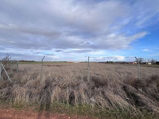 Terreno en venta en Membrilla