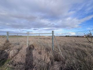 Terreno en venta en Membrilla