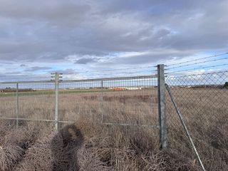 Terreno en venta en Membrilla