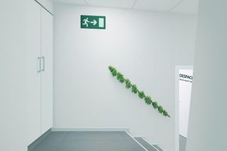 Piso en venta en Molina de Segura ciudad en Molina de Segura