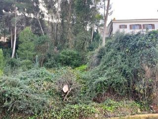 Terreno en venta en Centro en Chiva