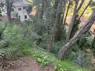 Terreno en venta en Centro en Chiva