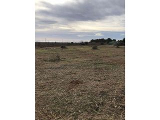 Terreno en alquiler en Sant Josep en Sant Josep de sa Talaia