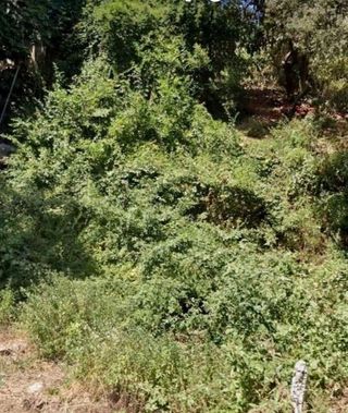 Terreno en venta en Torre Baró en Barcelona