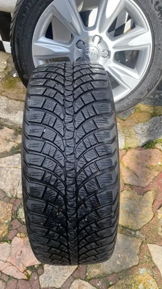 Juego de ruedas 225/50/R17