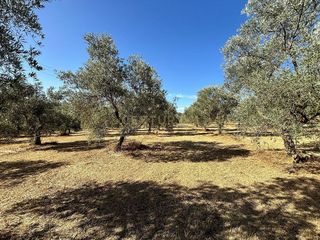 Terreno en venta en Villanueva del Trabuco