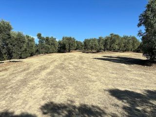 Terreno en venta en Villanueva del Trabuco