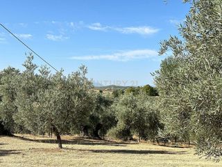 Terreno en venta en Villanueva del Trabuco