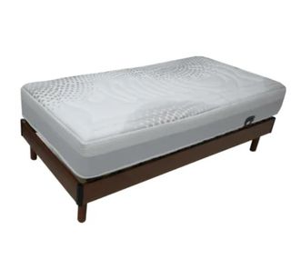 2 Somieres Articulados Eléctricos Michigan