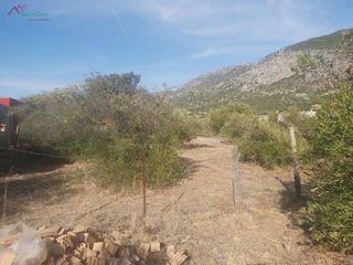 Solar en venta en Ubrique