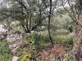 Terreno en venta en Artà en Artà