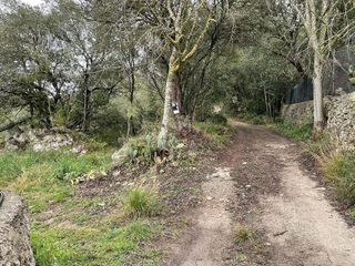 Terreno en venta en Artà en Artà