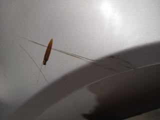 ALETA DELANTERA DERECHA MERCEDES-BENZ CLASE A (BM