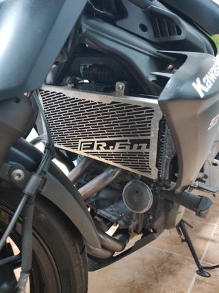 Kawasaki ER6n con ABS y limitada en papeles