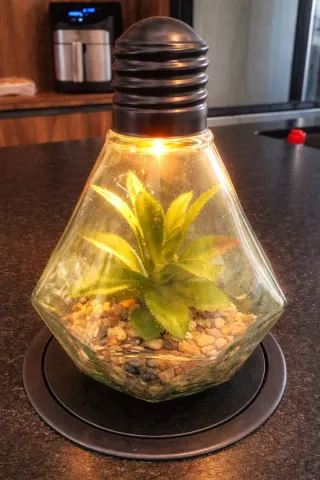 Bombilla Decorativa con Planta