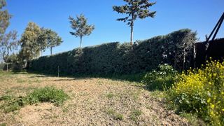Terreno en alquiler en Valdepelayo - Montepinos - Arroyo Culebro en Leganés