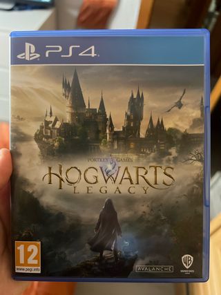 Hogwarts Legacy per PS4