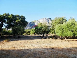 Solar en venta en Ubrique