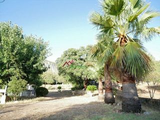 Solar en venta en Ubrique