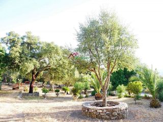 Solar en venta en Ubrique