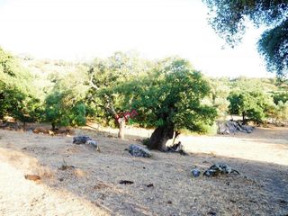 Solar en venta en Ubrique