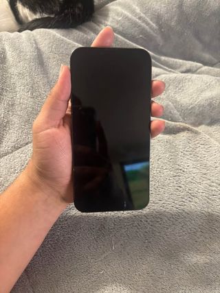 iPhone 13 Pro Max Gris