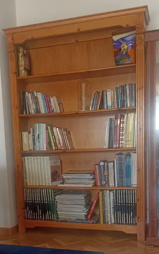 Estantería madera maciza librería expositor