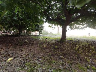 Chalet en venta en Aspe