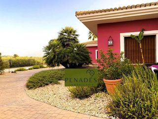 Chalet en venta en Ontinyent