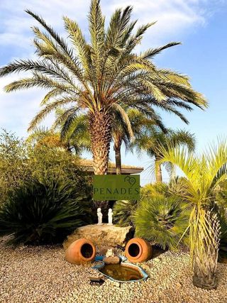 Chalet en venta en Ontinyent