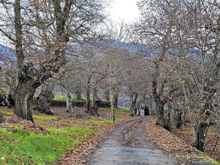 Chalet en venta en Corullón