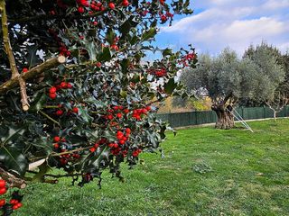 Chalet en venta en Corullón