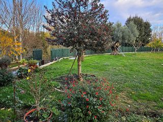 Chalet en venta en Corullón