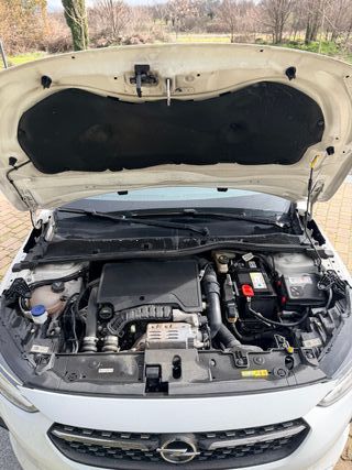 Opel Corsa 1.2T XHL Elegance 100 CV 2020