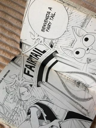 Fairy Tail Comic
