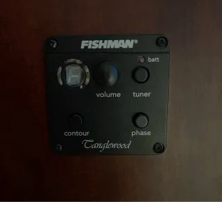 Guitarra Electroacústica Tanglewood