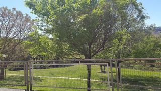 Local comercial en alquiler en Posío en Ourense