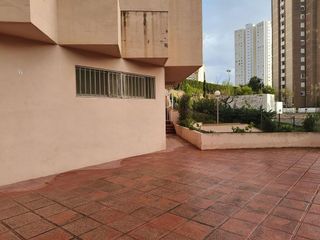 Local comercial en alquiler en Playa de Poniente en Benidorm