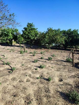 Casa en venta en Arcos de la Frontera