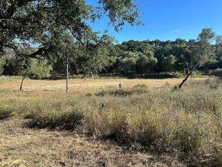 Casa rural en venta en Alcalá de los Gazules