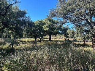Casa rural en venta en Alcalá de los Gazules