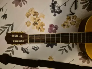 Guitarra Ashton CG60BR con funda