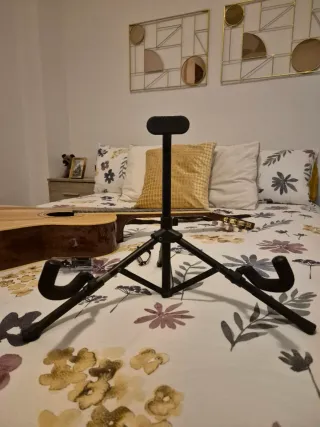 Guitarra Ashton CG60BR con funda