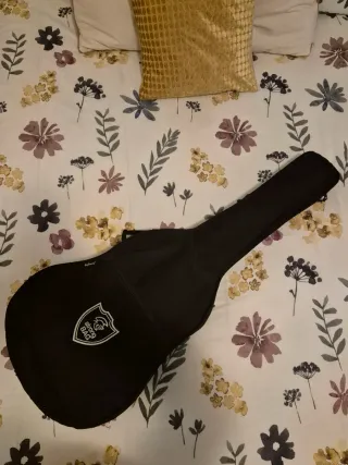 Guitarra Ashton CG60BR con funda