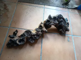 Tronco decorativo para terrario