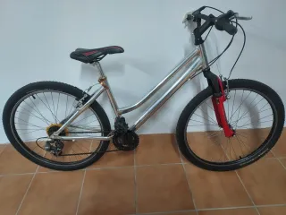 Bicicleta Montaña Plata