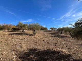 Casa rural en venta en Coín