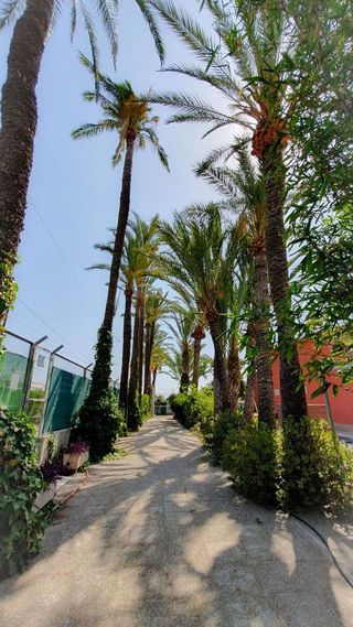 Chalet en venta en Alzabares en Elche