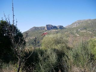 Solar en venta en Ubrique