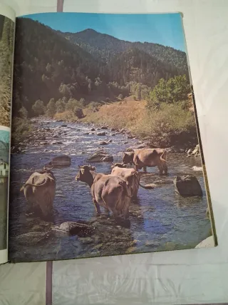 Imatges Catalunya i Illes Balears